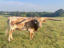 HRT Tuff Hangin’ J